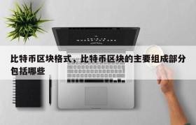 比特币区块格式，比特币区块的主要组成部分包括哪些