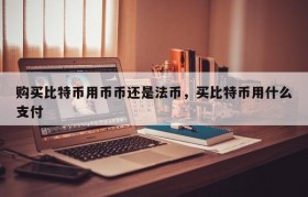 购买比特币用币币还是法币，买比特币用什么支付