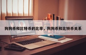 狗狗币和比特币的比率，狗狗币和比特币关系