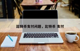 比特币支付问题，比特币 支付