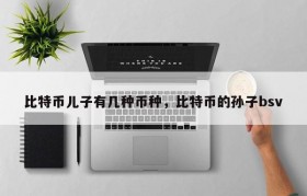 比特币儿子有几种币种，比特币的孙子bsv